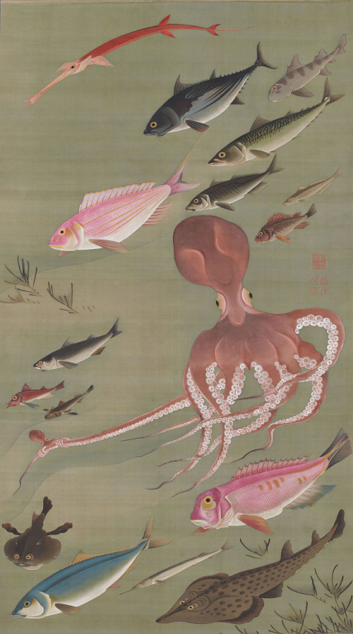 Itō Jakuchū. Poissons, 1765-1766. Tōkyō, Musée des collections impériales (Sannomaru Shōzōkan). Agence de la Maison impériale.