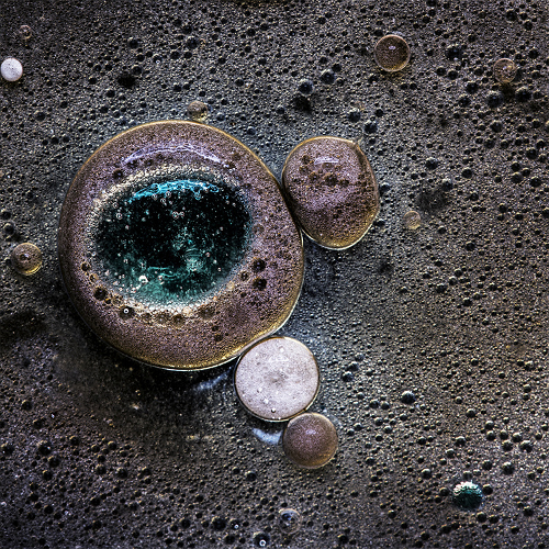 Cosmos  © Olivier Decker