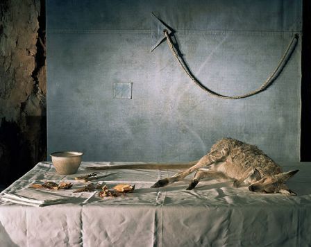 Australiana - Still Life © Marian Drew © musée du quai Branly, Photoquai 2011