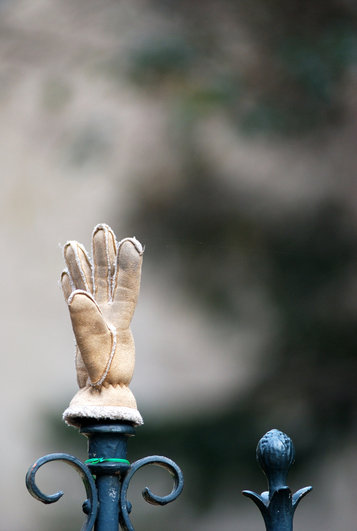 Manchot © L'Oeil Curieux/Thierry Guilhem
