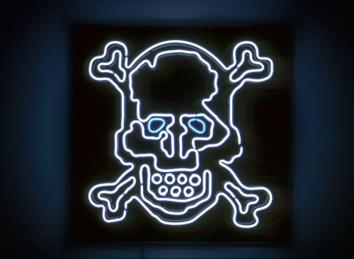 Henrik Plenge Jakobsen, Neon skull